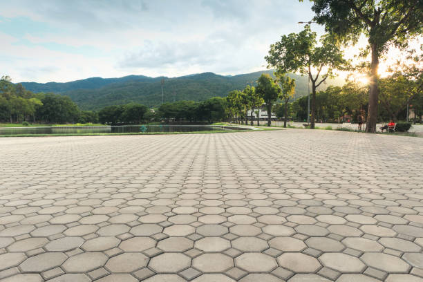 Best Driveway Paving Near Me  in Chatmoss, VA